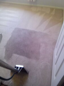 Professional carpet cleaning in progress, showing a significant difference between cleaned and uncleaned areas, by A Copesetic Carpet, Upholstery, Tile & Grout Cleaner in Mesa, AZ