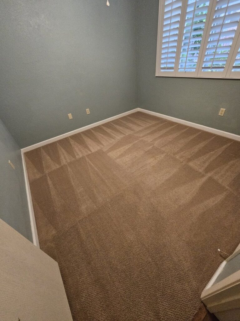 Professional carpet cleaning results showing clean patterns in a room by California Xtreme Steam in Sacramento, CA