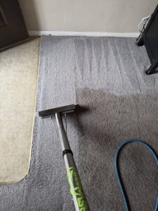 Professional carpet cleaning results with a clear before and after line by Easy Clean Carpet Care in Citrus Heights, CA
