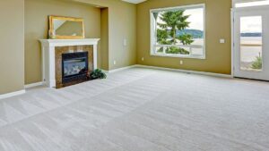 Professional carpet cleaning results showing distinct cleaning lines on a light-colored carpet by Magic Carpet Cleaning in Pittsburgh, PA.