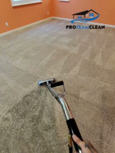 Visible clean and dirty sections of carpet during a professional cleaning by Pro Team Carpet Cleaning Sacramento, CA.