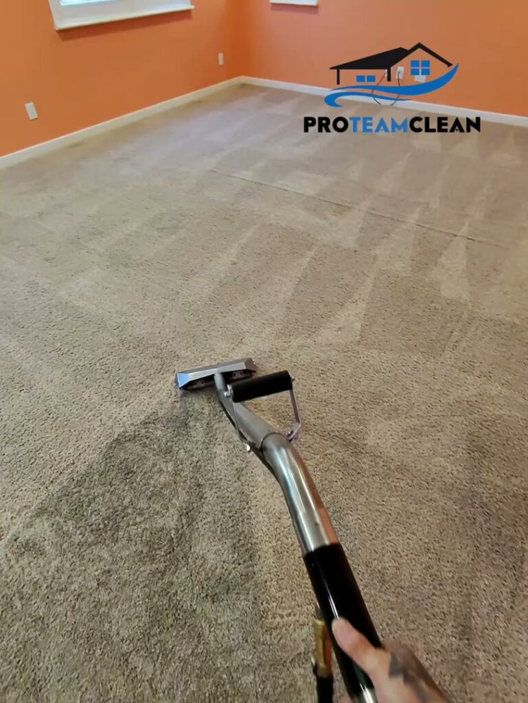Visible clean and dirty sections of carpet during a professional cleaning by Pro Team Carpet Cleaning Sacramento, CA.