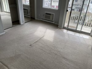 A room with carpet showing a distinct clean path after professional cleaning by Sunshine Carpet Cleaning in Waterbury, CT.