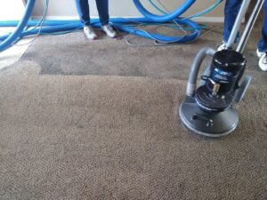 A professional carpet cleaning service in action with equipment and hoses by A Plus Carpet Care in Redondo Beach, CA.