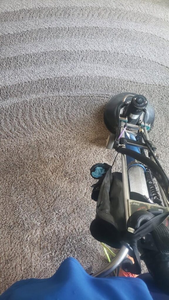 Professional carpet cleaning service in progress by American Dream Carpet Cleaning in Cedar Rapids, IA.