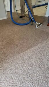 A professional technician performing carpet cleaning with a wand and hose for Carpet Care in Reisterstown, MD.