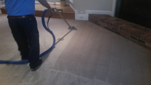 A professional performing carpet cleaning with a machine, showing the clean path, by Chichi Carpet Cleaning in High Point, NC