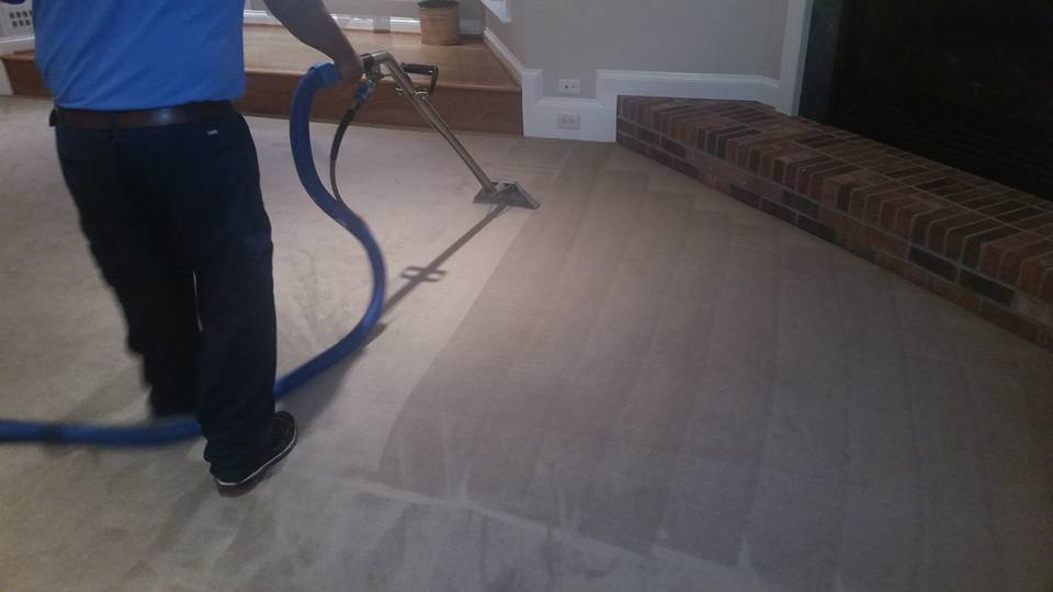 A professional performing carpet cleaning with a machine, showing the clean path, by Chichi Carpet Cleaning in High Point, NC