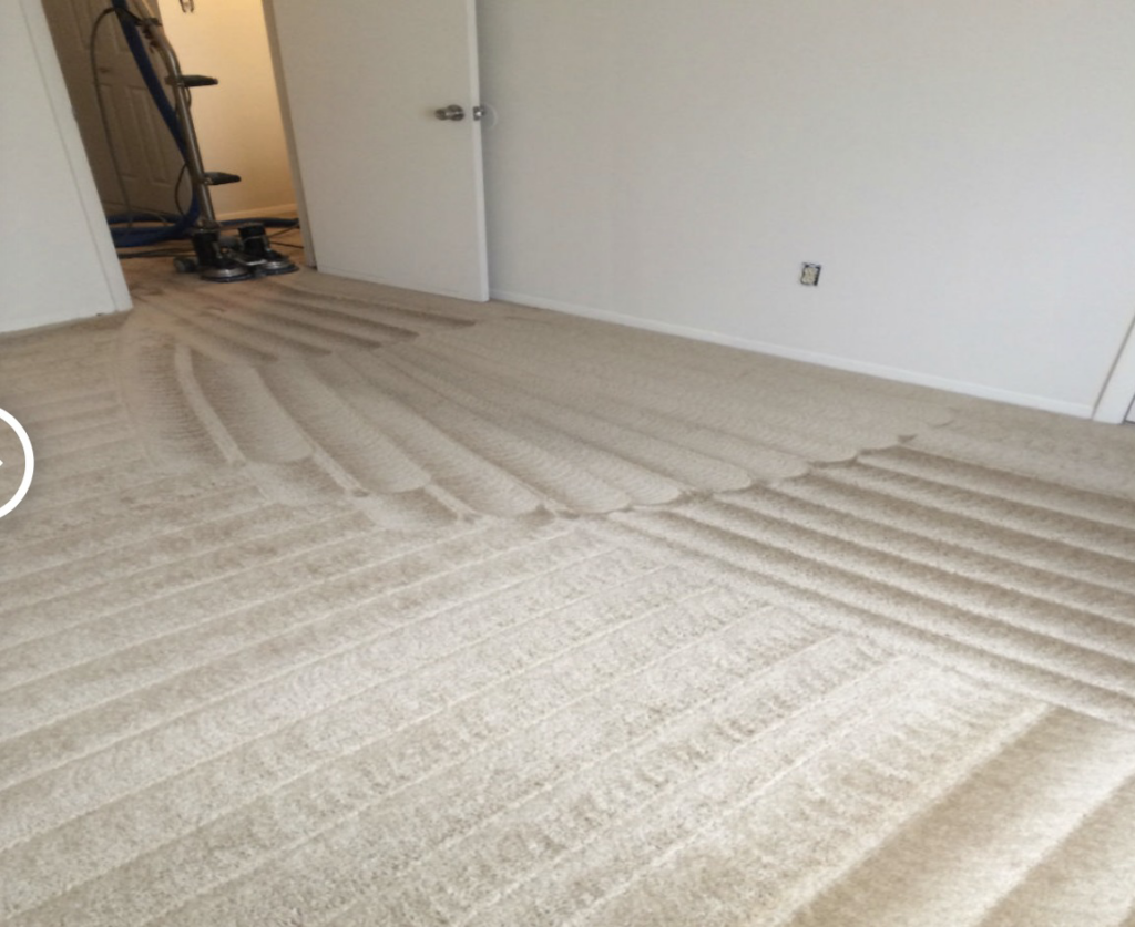 Professional carpet cleaning service in progress with visible cleaning lines by Everlush in Castle Rock, CO.
