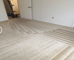 Professional carpet cleaning service in progress with visible cleaning lines by Everlush in Castle Rock, CO.