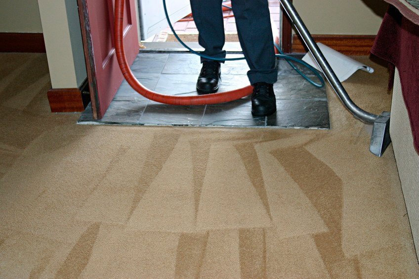 A professional performing carpet cleaning service in a home, showing clean lines, by Premier Carpet Cleaning in Colorado Springs, CO.