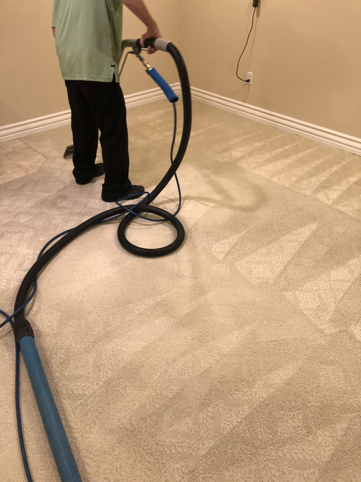 A professional performing carpet cleaning service at Max Performance Carpet Cleaning in Spokane, WA.