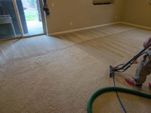 A professional performing carpet cleaning service with a wand, showing clean lines, by Premier Carpet Cleaning in Colorado Springs, CO.