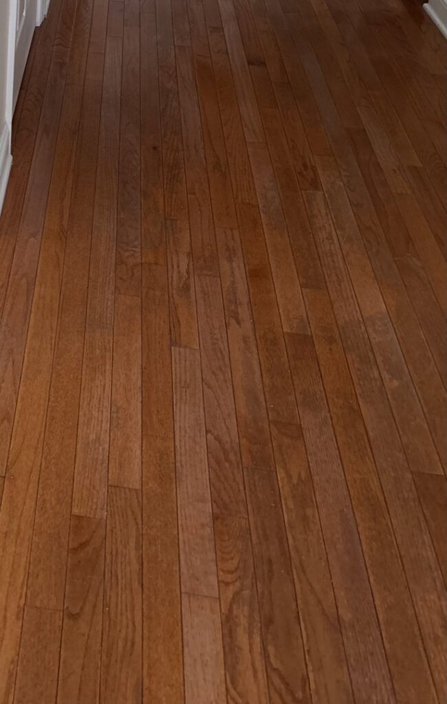 A professional performing carpet cleaning services for Rise N Shine Cleaning in San Antonio, TX