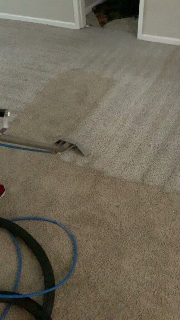 Professional carpet cleaning in progress, with a cleaning wand revealing a clean path on a light brown carpet by Superior Carpet Cleaning in Greenville, SC.