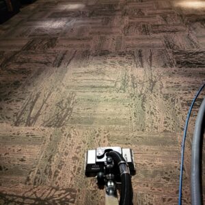 A professional carpet cleaning machine working on a patterned carpet by Tampa Steam Team in Plant City, FL.