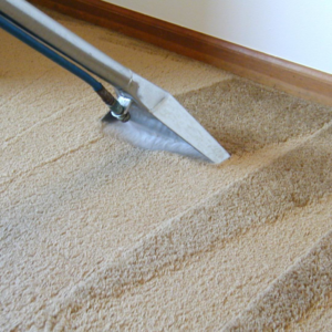 A professional carpet cleaning tool in action on a carpet by Carpet Anew LLC in Gladstone, MO.
