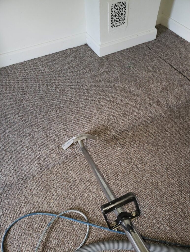 A professional carpet cleaning tool in use on a textured carpet by Belles Carpet Cleaning & Janitorial Inc. in Harrisburg, PA.