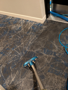 A professional carpet cleaning tool in use on a patterned carpet by Premier Carpet Cleaning in Colorado Springs, CO.