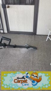 A professional carpet cleaning tool in action on a grey carpet by Specialty Carpet Care in Surprise, AZ