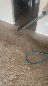 Professional carpet cleaning in progress with equipment, showing a clean path by Triple J Carpet Cleaning in North Las Vegas, NV.