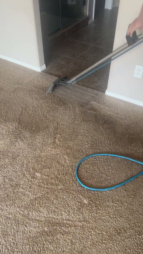 Professional carpet cleaning in progress with equipment, showing a clean path by Triple J Carpet Cleaning in North Las Vegas, NV.