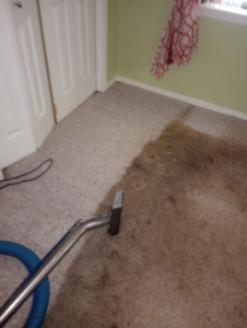 A professional carpet cleaning wand in action, showing before and after results by C&S Carpet Cleaning in Cyril, OK.