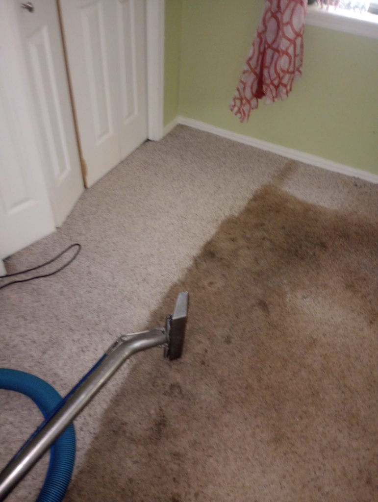 A professional carpet cleaning wand in action, showing before and after results by C&S Carpet Cleaning in Cyril, OK.