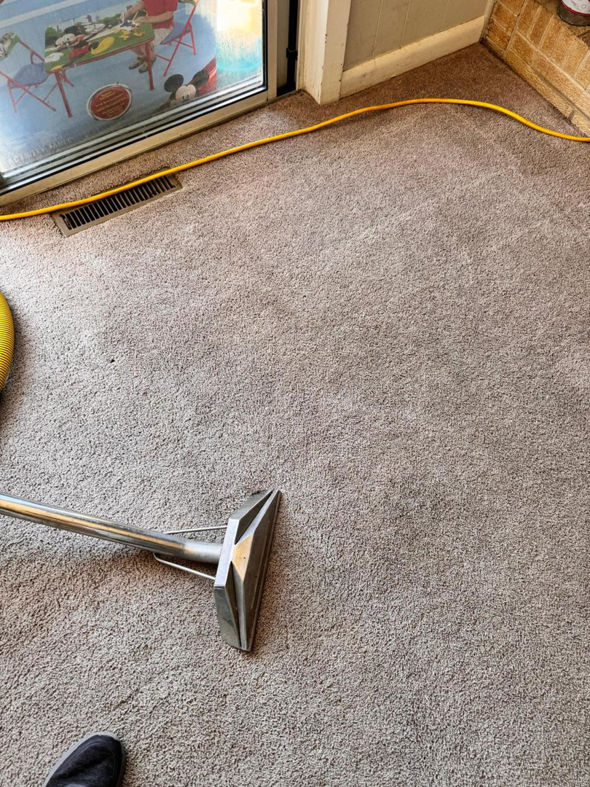 A professional carpet cleaning wand in action, deep cleaning a residential carpet by Jam Carpet Cleaning Services LLC in Newport News, VA.