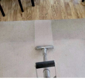 A professional carpet cleaning wand actively cleaning a carpet, showing a clear division between dirty and clean areas by Ype Cleaning LLC in Monroe, NC.