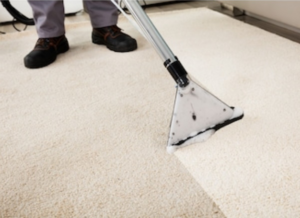 A professional carpet cleaner using an extraction wand to clean a light-colored carpet, showing a clean path, by Carpet Cleaning - American Way in Danbury, CT.