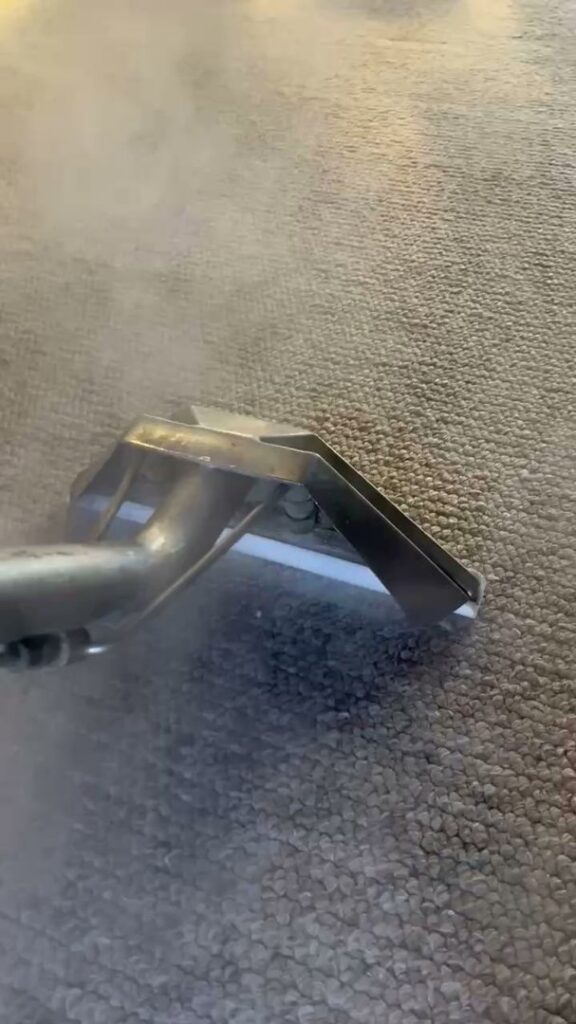 Professional carpet steam cleaning in progress, with a cleaning wand emitting steam, performed by 303 Carpet Cleaning in Lakewood, CO