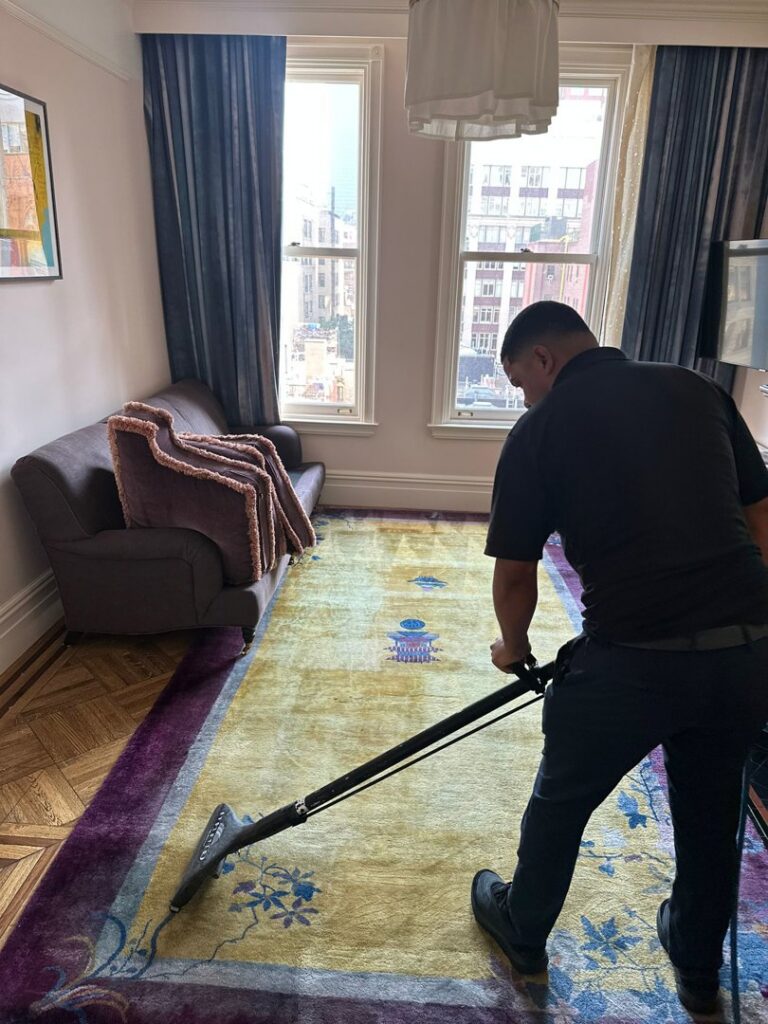 A professional from Cosmo Carpet Cleaning cleaning a large, colorful area rug in Princeton, NJ.