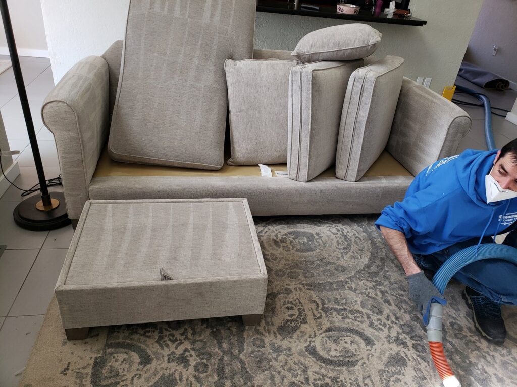 A professional cleaning an area rug and an upholstered sofa at a client's home by Steamaway Carpet Cleaning in Albuquerque, NM.