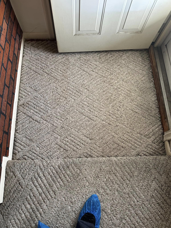 A professional wearing blue shoe covers on a clean carpeted staircase, ensuring care during service by Triple B Carpet Cleaning in Roseville, MI.
