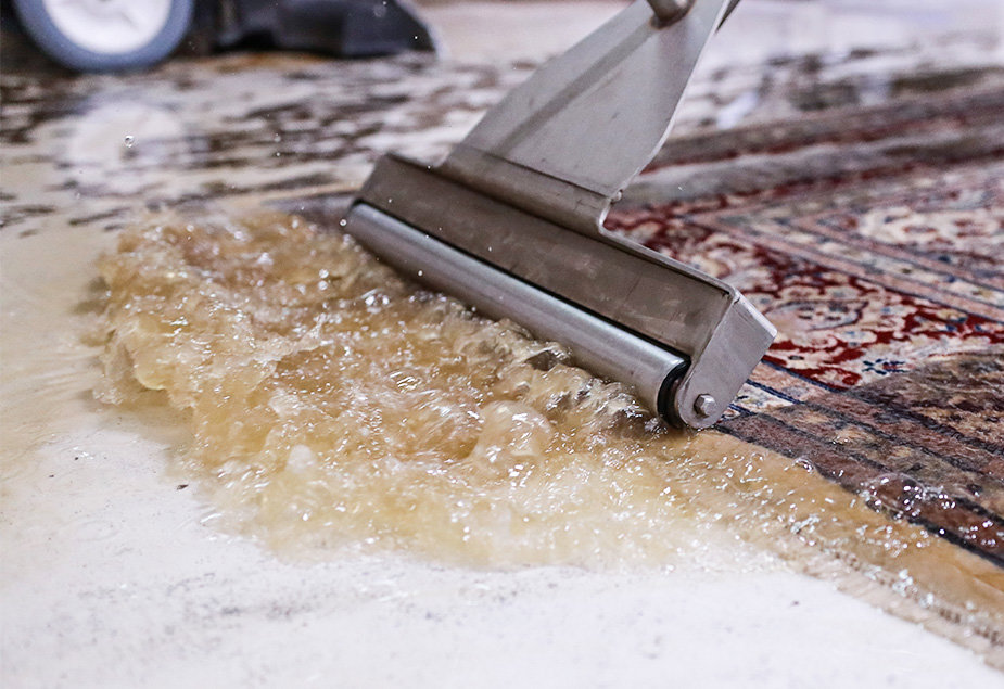 Professional rug cleaning in progress, showing dirty water being extracted from a rug at Khazai Rugs in Lexington, KY.