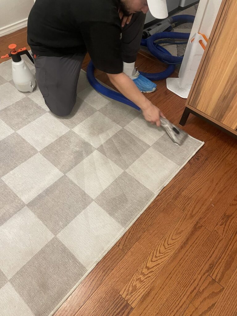 A professional cleaning a checkered area rug as part of a service by Coconut Cleaning of Dallas-Fort Worth in Dallas, TX.