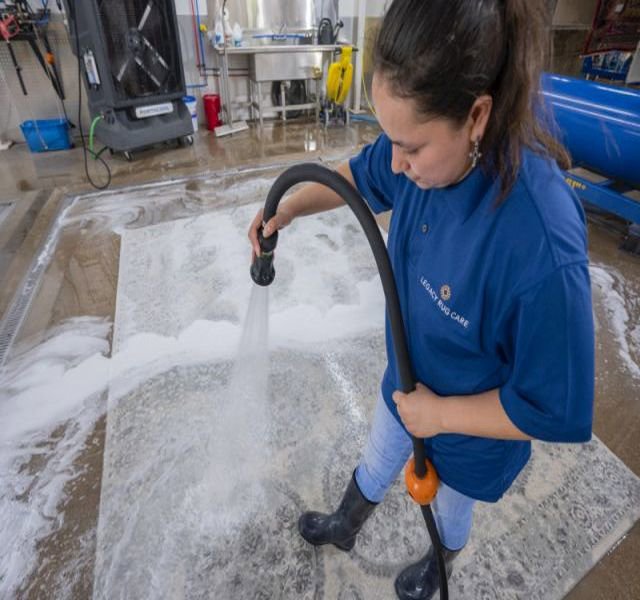 A professional cleaning a large area rug with water and suds, demonstrating rug cleaning services by Hydro Clean in Baltimore, MD.