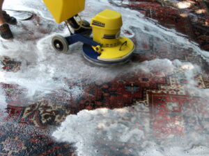 Professional rug cleaning in progress using a rotary machine and foam at Ziegler Preservation Cleaning in Danbury, CT