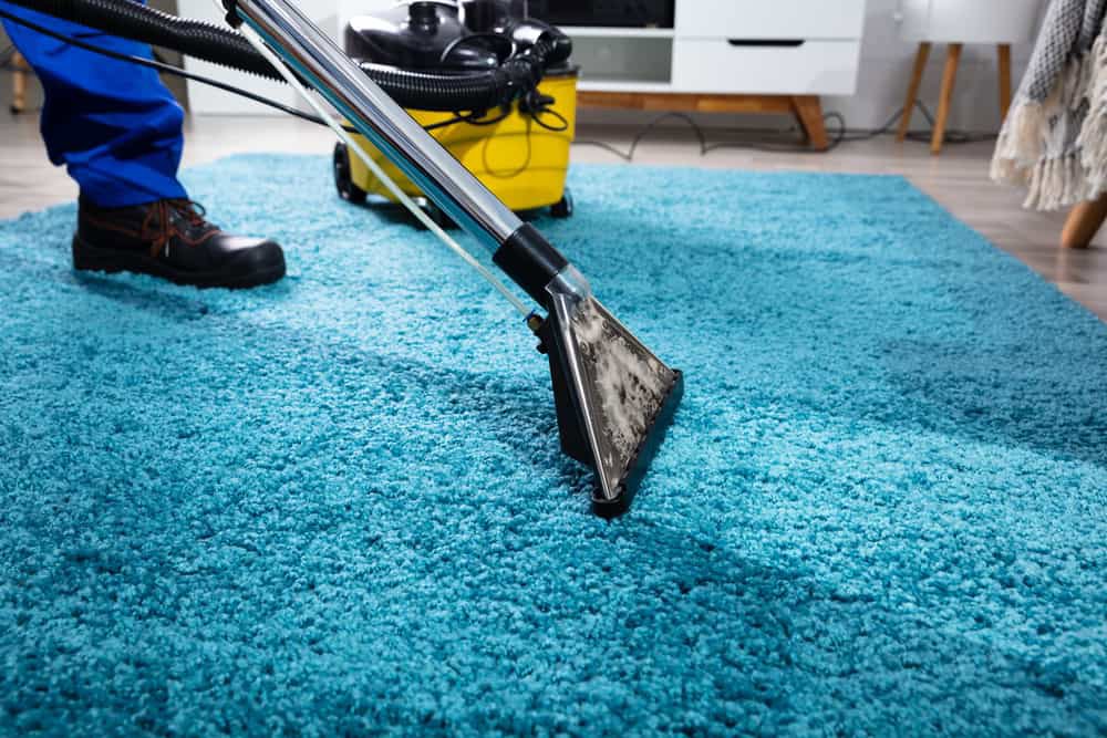 Professional cleaning of a blue shag rug in a home by GTS future cleaning services in Los Angeles, CA
