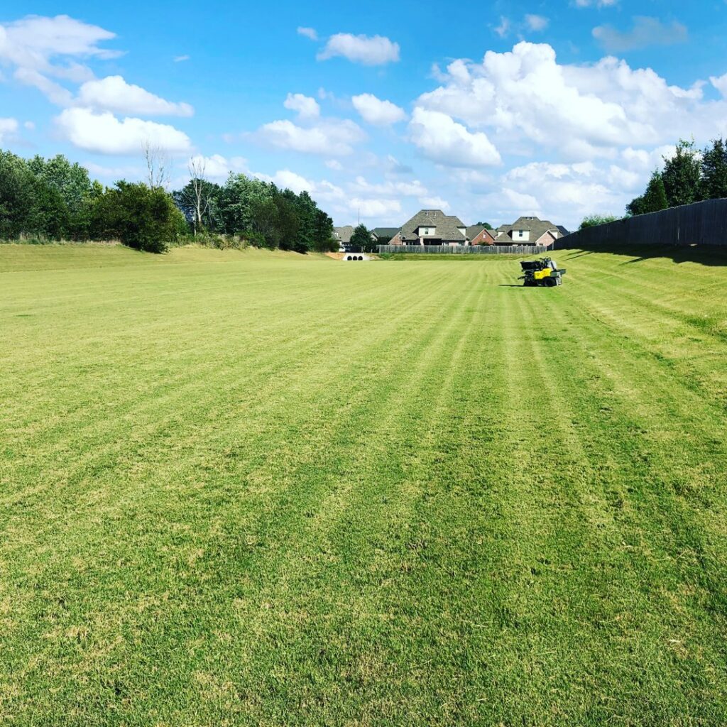 A large lawn receiving professional turf treatment from Action Pest And Turf in Springdale, AR.