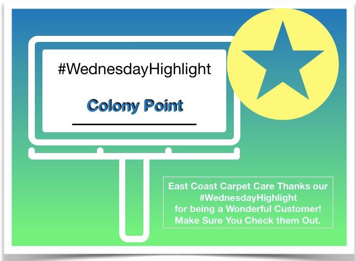 A professional performing upholstery cleaning on a sofa cushion for East Coast Carpet Care, Inc. in Chesapeake, VA.