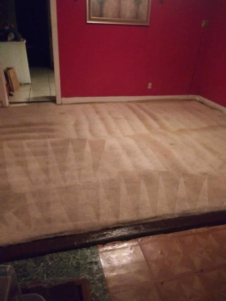 A professionally cleaned carpet with visible cleaning patterns by FABULOUS CARPET CARE in Memphis, TN.
