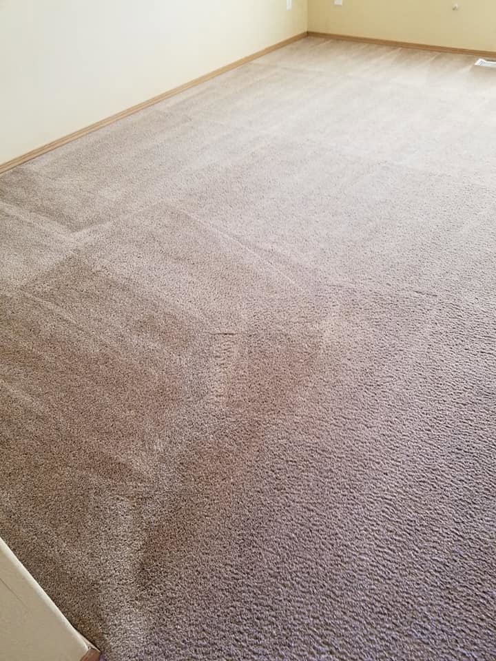 A professionally cleaned light brown carpet with fresh lines by Maxi-Max Carpet Cleaning in Salem, OR