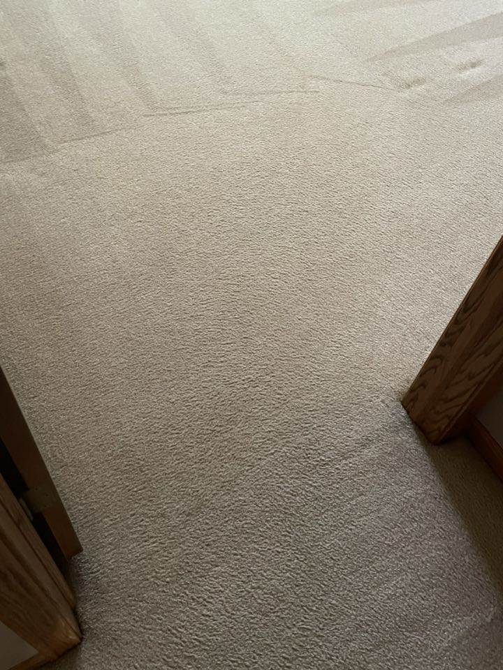 A professionally cleaned carpet with visible cleaning patterns from Pro Care Cleaning in Lincoln, NE.