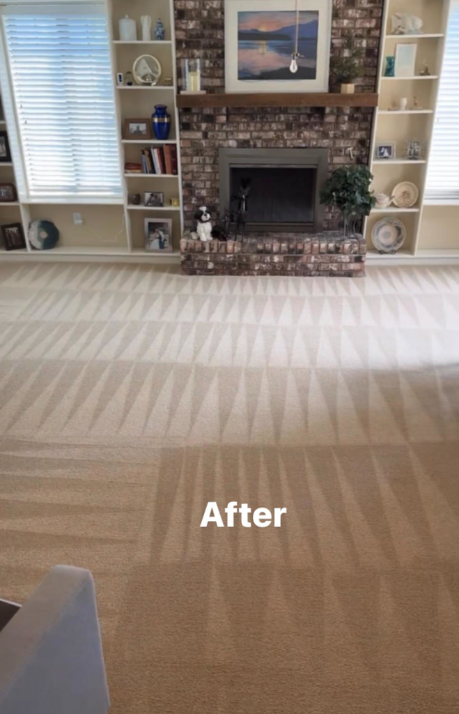 A professionally cleaned carpet showing fresh patterns in a living room by Top Dog Carpet Cleaning in Belton, MO.