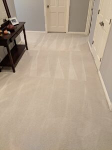 A professionally cleaned light-colored carpet in a hallway, showing fresh cleaning lines from Real Green Cleaning in Indianapolis, IN.