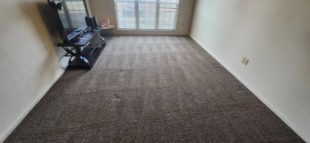 A professionally cleaned living room carpet with visible cleaning lines by Top Notch Cleaning, LLC in Bensalem, PA.