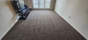 A professionally cleaned living room carpet with visible cleaning lines by Top Notch Cleaning, LLC in Bensalem, PA.