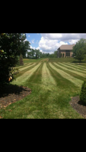 A large residential lawn with neat mowing stripes, professionally maintained by Brothers Lawn Care LLC in Florence, KY.